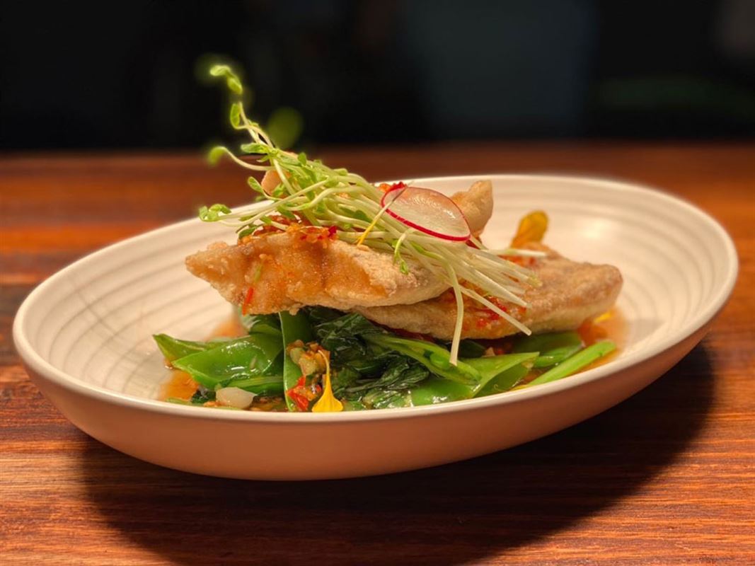 Holy Basil Thai, Croydon Thai Restaurant Menu, Phone, Reviews AGFG