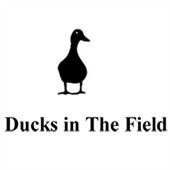 62536/logo-170.jpg Ducks in the Field