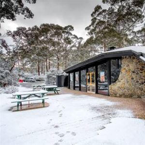 Discovery Parks Cradle Mountain
