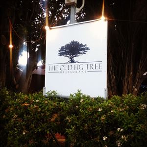 The Old Fig Tree Restaurant