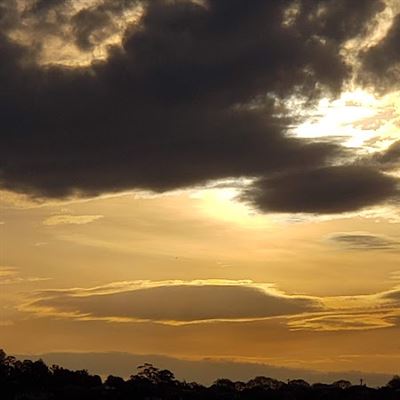 The Charles Restaurant