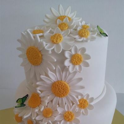Creative Cakes By Deborah Feltham