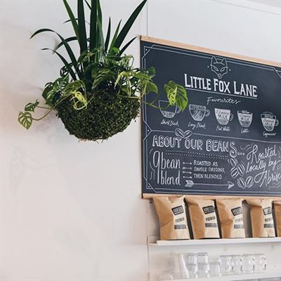Little Fox Lane