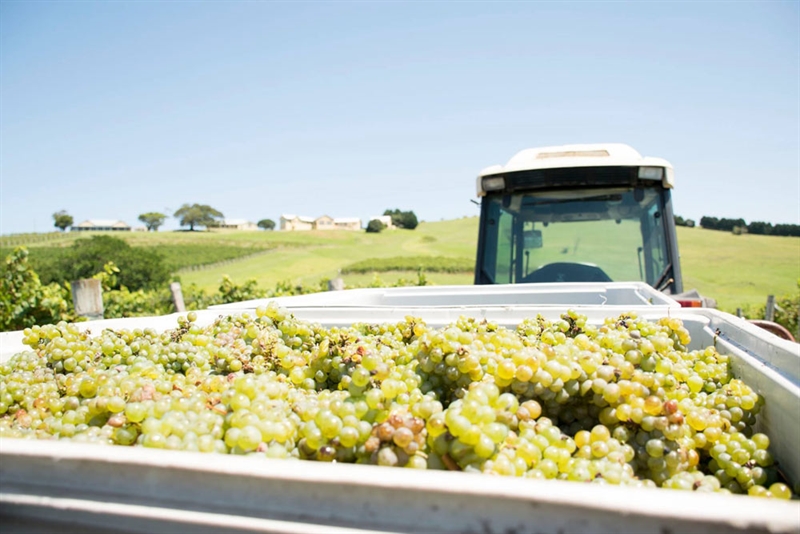 Crooked River Winery, Gerringong Reviews, Phone, Bookings AGFG