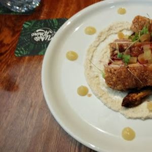 White Rhino Bar & Eats, Surfers Paradise - Modern Australian Restaurant