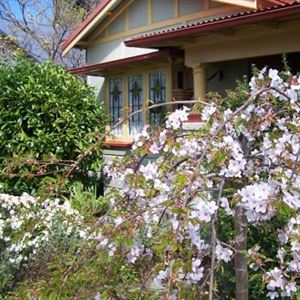 Shelton-Lea Bed & Breakfast