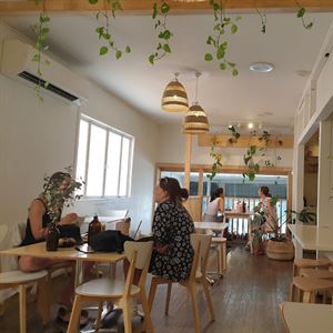 Plant Vibes Cafe