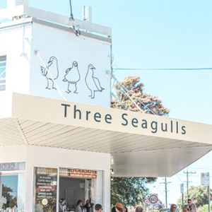 Three Seagulls