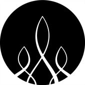 The Arsonist