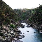9161/logo-170.jpg Cataract Gorge