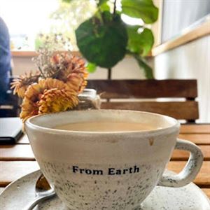 From Earth Cafe