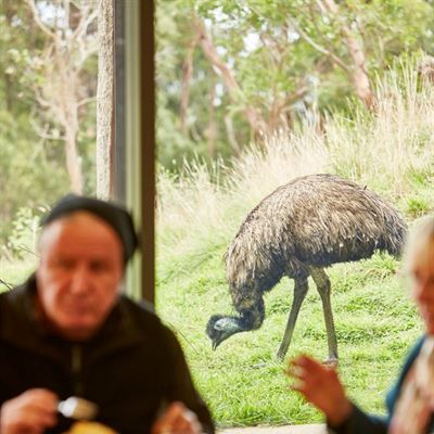 Emu Cafe at Wildlife Wonders