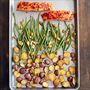 Harissa Salmon - by Molly Shuster
