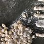 Gluten Free Gnocchi by I Maccheroni
