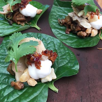 Betel Leaves with Tempeh, Pickled Oyster Mushrooms, Coconut Yoghurt, Macadamias and Chilli Sambal - Chef Recipe by Matt Golinski