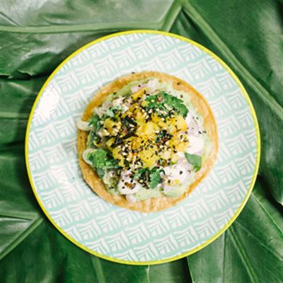 Ceviche Snapper Tostadas with Coconut and Apple - Chef Recipe by Ben Fossilo