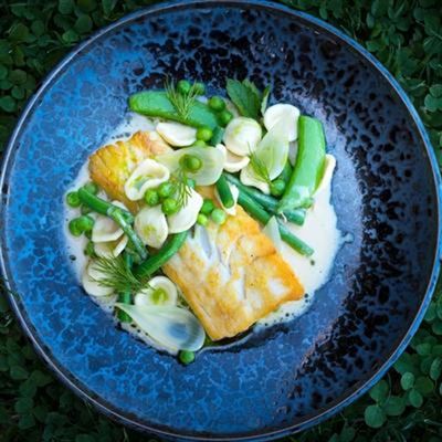 Pan Roasted Tasmanian White Fish, Snow Peas, Veloute and Herbs - Recipe by Chef Nick Raitt
