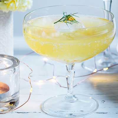 Marmalade, Fennel and Gin Fizz Cocktail