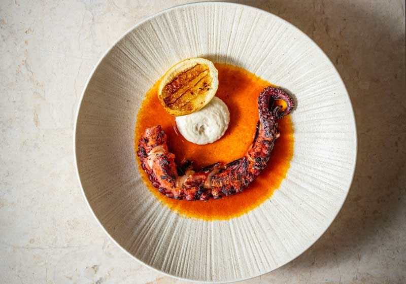 Hibachi Grilled Octopus with Almond Tarator - Chef Recipe by Billy Buchanan