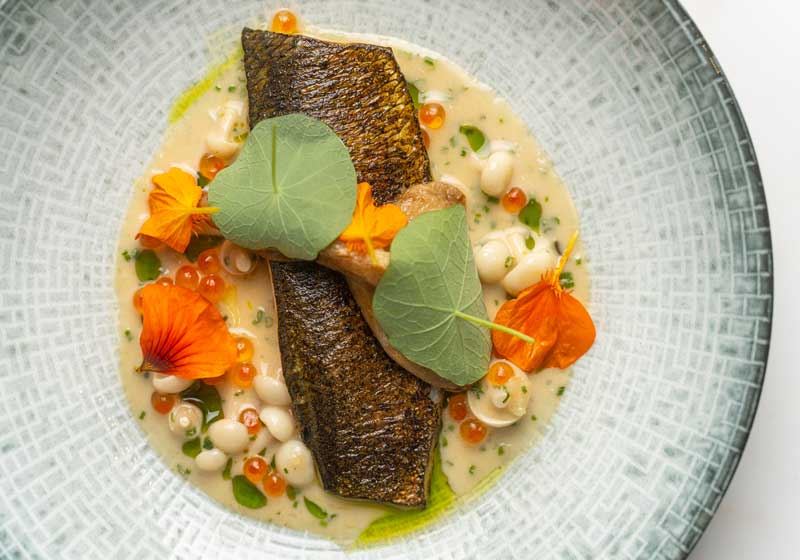 Blackened Coorong Mullet, Mushroom a la Greque and Roe - Chef Recipe by Hugh Hazelwood