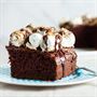 Chocolate Cake with Toasted Marshmallows