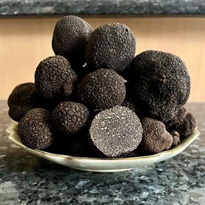 Winter truffle season 2024