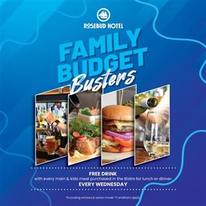WEDNESDAY FAMILY BUSTERS