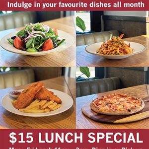 $15 LUNCH SPECIAL