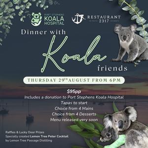 Dinner with Koala Friends