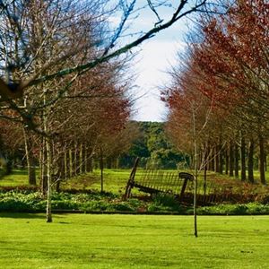 Bottomless Picnic in the truffiere