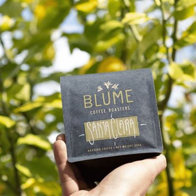 Blume Coffee