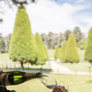 Melbourne Food & Wine Festival - A Long Lunch Among the Vines