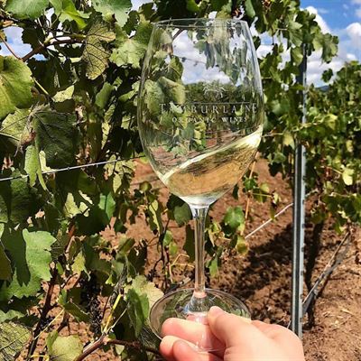Tamburlaine Organic Wines - Hunter Valley