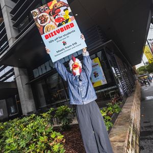 Student Discount