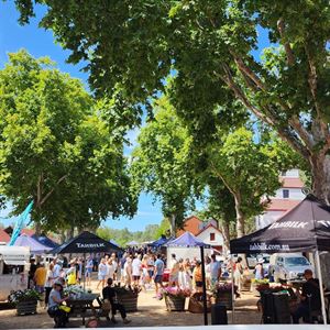 Nagambie Farmers Market At Tahbilk Estate 