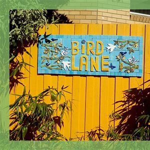 Bird Lane Working Bees – Powered by Glen Huntly Volunteers