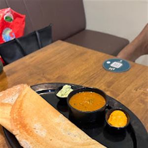 Lunch and Dinner