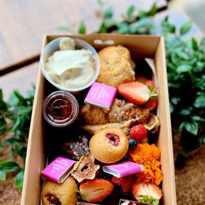 From Kitchen to Celebration – We've Got You Covered