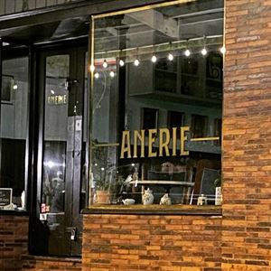 A little Bit About Anerie