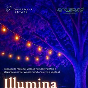 Illumina: A Winter Light & Sound Show