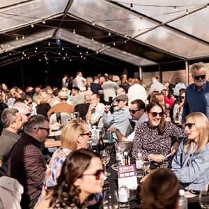 Winter Reds: THE SHIRAZ SOCIAL!