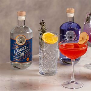 Month of Gin at Chapter & Verse