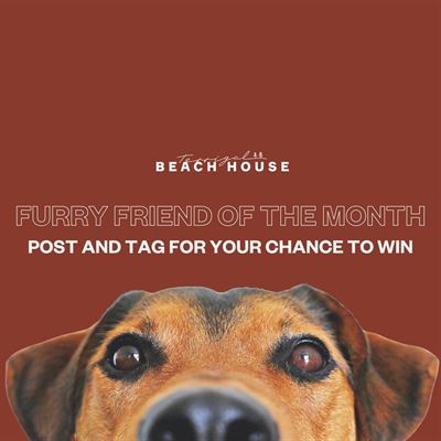 Terrigal Beach House