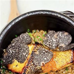 Truffle Season Special: Truffle Rice with Toothfish at Machi