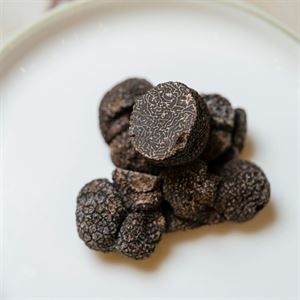 Truffle Season