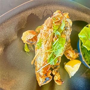 Tuesday - Thursday Lunch & Dinner