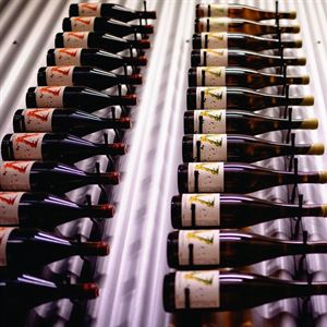 Vanguardist Masterclass at East End Cellars