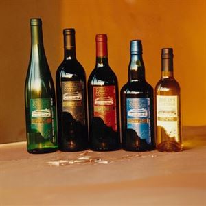 Reillys '30 Years of Dry Land' Long Lunch