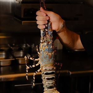 Fresh Lobster and Josper Grilled Tomahawk