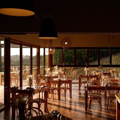 Mt Lofty Ranges Vineyard